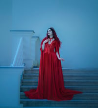 Image 3 of Red Velvet Gown