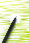 Taboo Liner (Mantis Green)