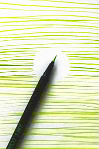 Image 4 of MANTIS GREEN TABOO LINER