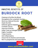 Organic Burdock Root, Whole (Fresh)