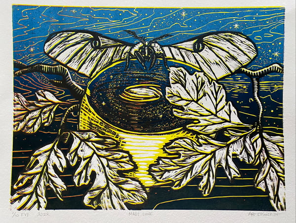 Image of Magi Lune 1