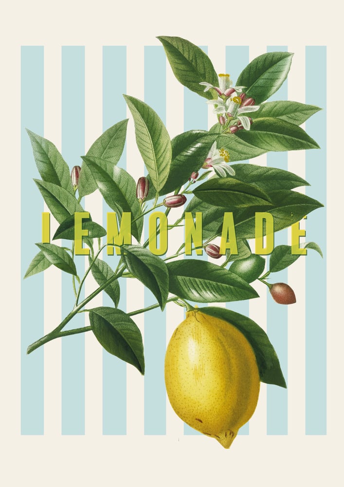 Image of Affiche Lemonade