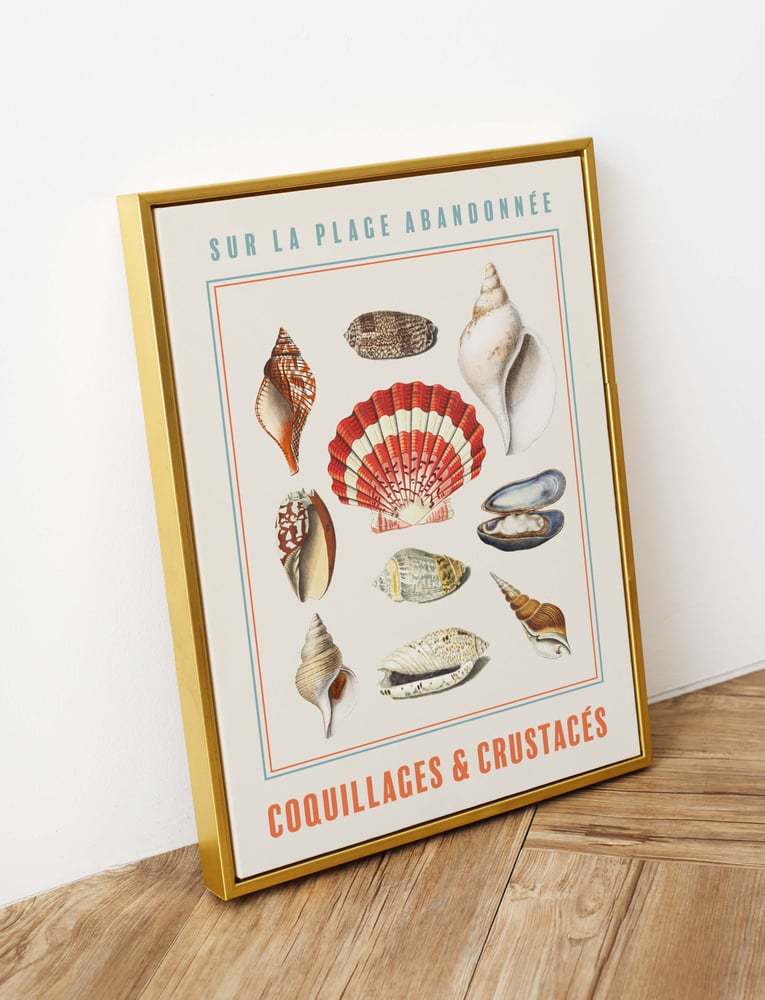 Image of Affiche Coquillages et crustacés