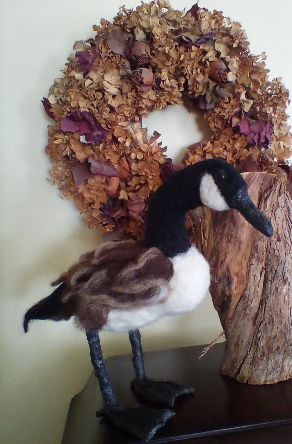 Image of Canadian goose