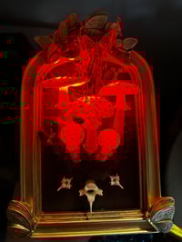 Image 2 of Amanita muscaria frame LED