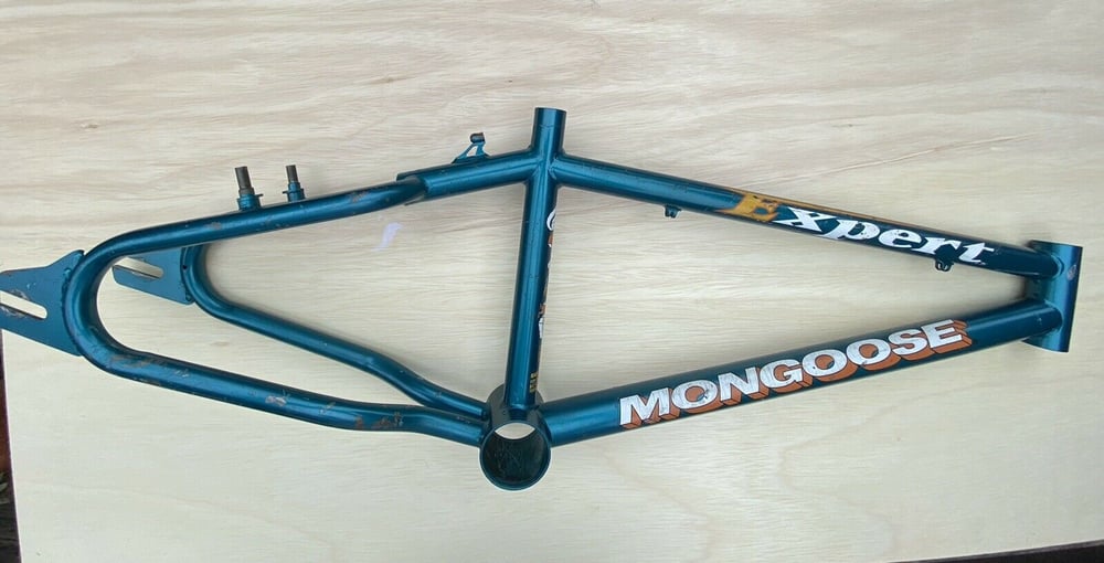 mongoose expert frame