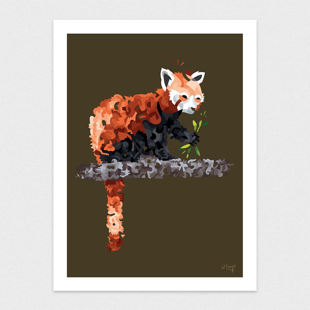 Image of Pandaroo | 30 x 40 cm