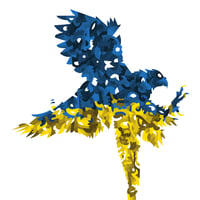 Image 2 of Falco Rusticolus Ucraina | 30 x 40 cm