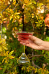 Le Coppe | Margarita glass 