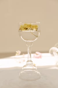 Image 5 of Le Coppe | Wine glass