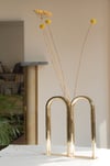 Bicaudata vase