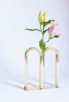 Bicaudata vase