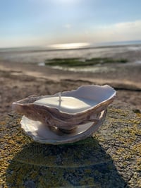 Oyster Shell Candles