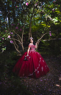 Quinceanera Family Package $1245