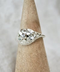 Image 1 of Bláthnaid 