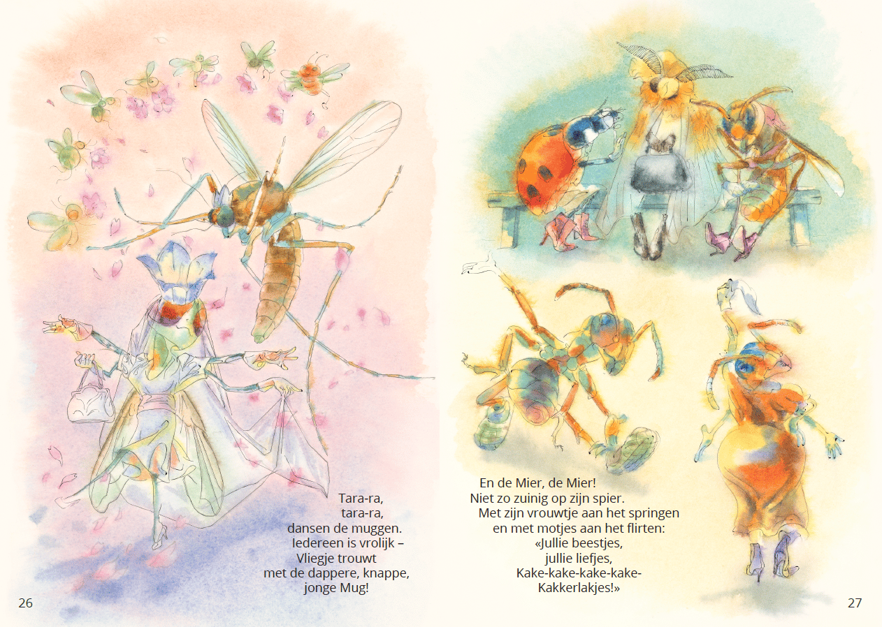 Image of «VLIEGJE'S VERJAARDAG» 