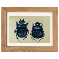 Image 1 of Dung Beetle Watercolor Illustration LIMITED EDITION PRINT 