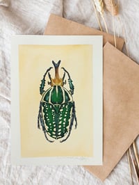 Image 3 of Mecynorhina Beetle LIMITED EDITION PRINT 