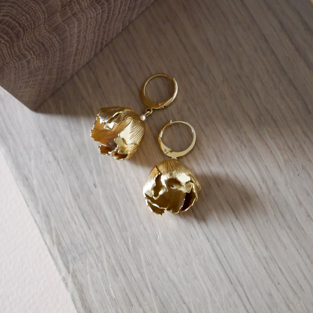 Image of Boucles d'Oreilles PIALA