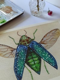 Image 4 of Green Jewel Beetle Watercolor Illustration LIMITED EDITION PRINT 