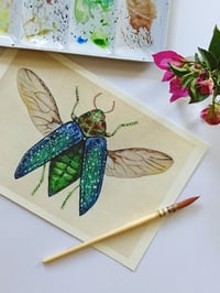 Image 2 of Green Jewel Beetle Watercolor Illustration LIMITED EDITION PRINT 