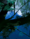 Image of Nympheas #2