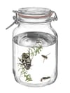  aquatic insects in a weck jar