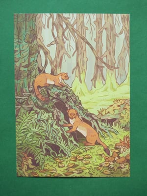 a5 stoats print