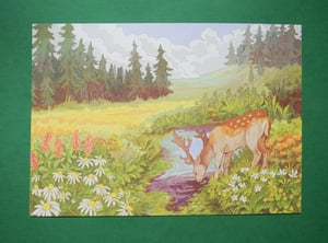 a5 deer on the meadow print