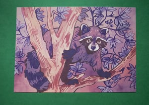 a5 raccoon print