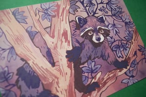 a5 raccoon print