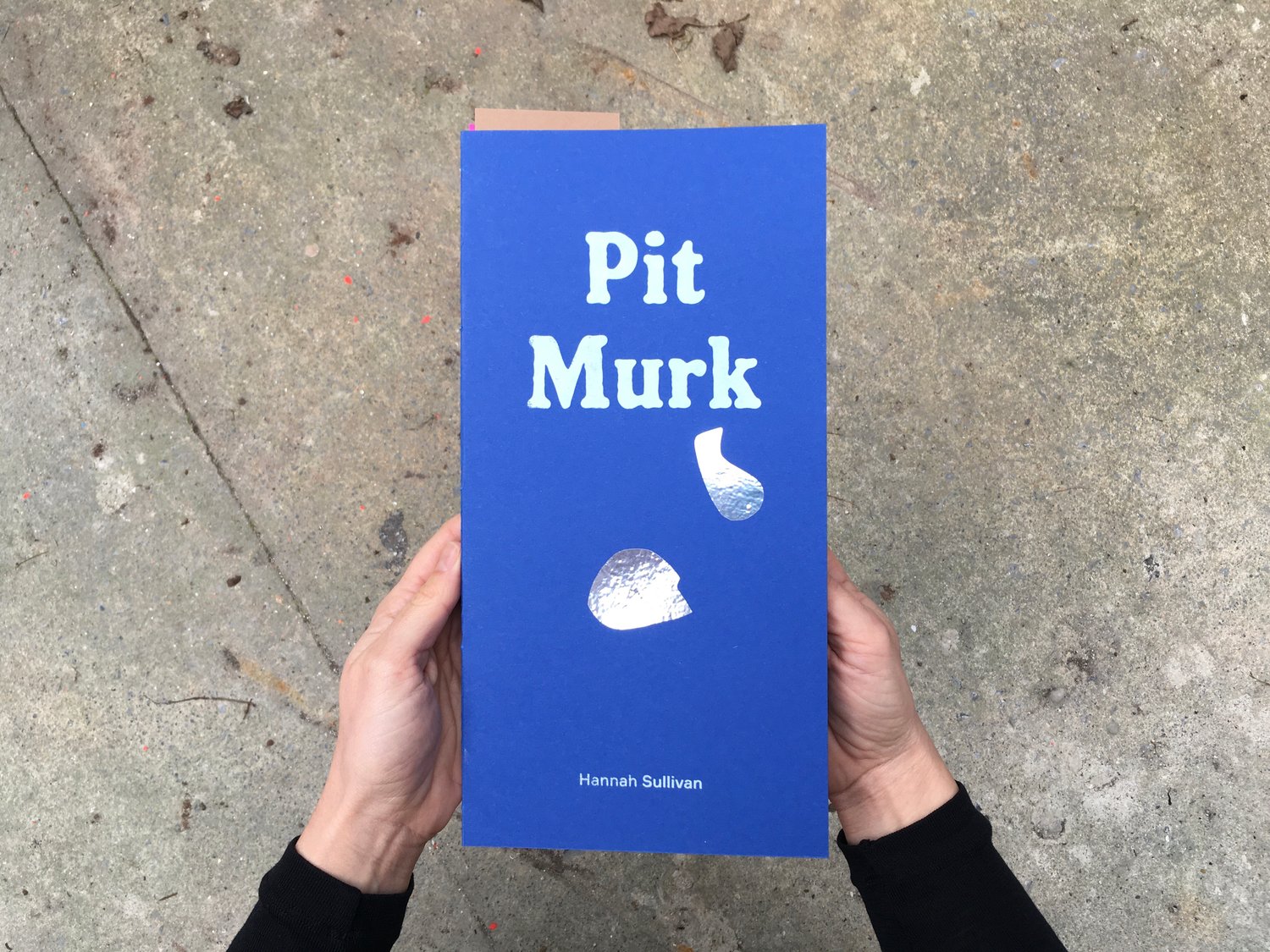 Pit Murk by Hannah Sullivan