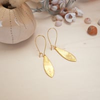 Image 1 of Boucles Coline