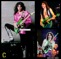 Image 3 of Steve Vai's Green Meanie guitar stickers Charvel vinyl decal skate Full Set 19