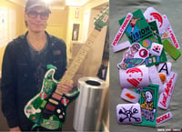 Image 1 of Steve Vai's Green Meanie guitar stickers Charvel vinyl decal skate Full Set 19