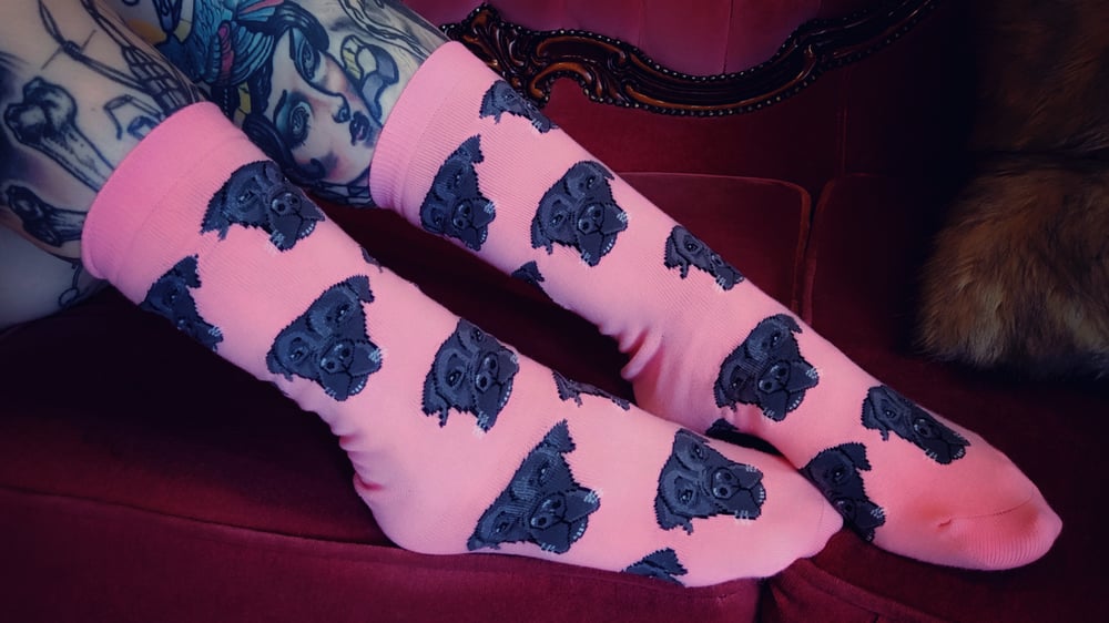 Image of Bosco socks