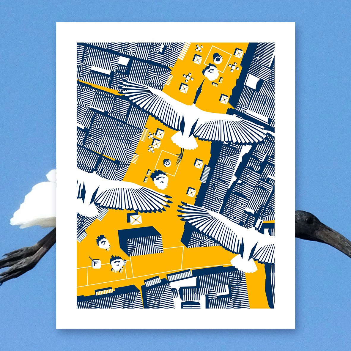 Image of Sacro ibis