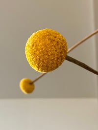 Image 2 of SOLIS kinetic sculpture 