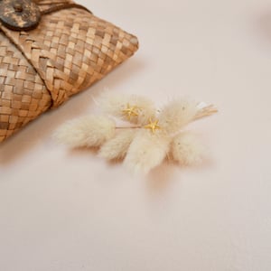 Image of Boucles Starfish