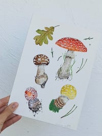 Image 3 of Amanita Muscaria Watercolor Illustration, ORIGINAL ARTWORK 