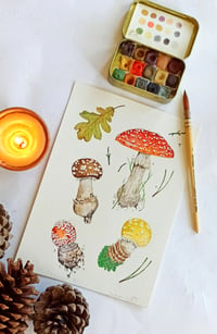 Image 1 of Amanita Muscaria Watercolor Illustration, ORIGINAL ARTWORK 