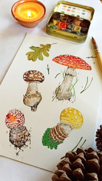 Image 4 of Amanita Muscaria Watercolor Illustration, ORIGINAL ARTWORK 