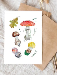 Image 2 of Amanita Muscaria Watercolor Illustration PRINT