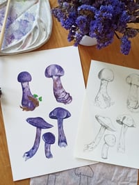 Image 3 of Cortinarius Violaceous Watercolor Illustration ORIGINAL ARTWORK 