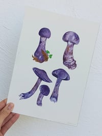 Image 5 of Cortinarius Violaceous Watercolor Illustration ORIGINAL ARTWORK 