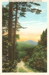 Mt. Pisgah, NC Postcard