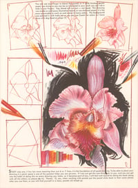 Image 1 of Drawing a Flower