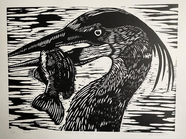 Image of Catch of the Day