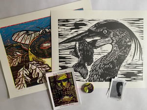 Image of Catch of the Day