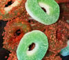 Green Apple rings